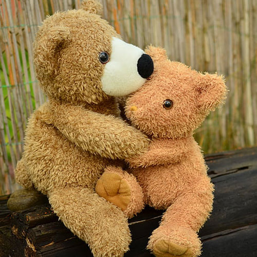 Infants' Understanding of Social Responsiveness