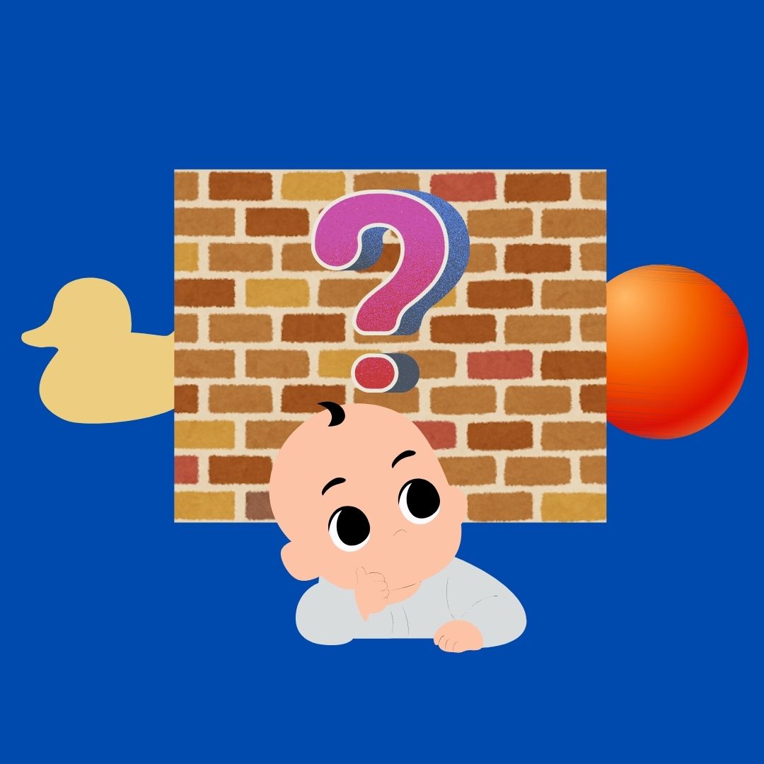 Can Babies Track Two Objects?