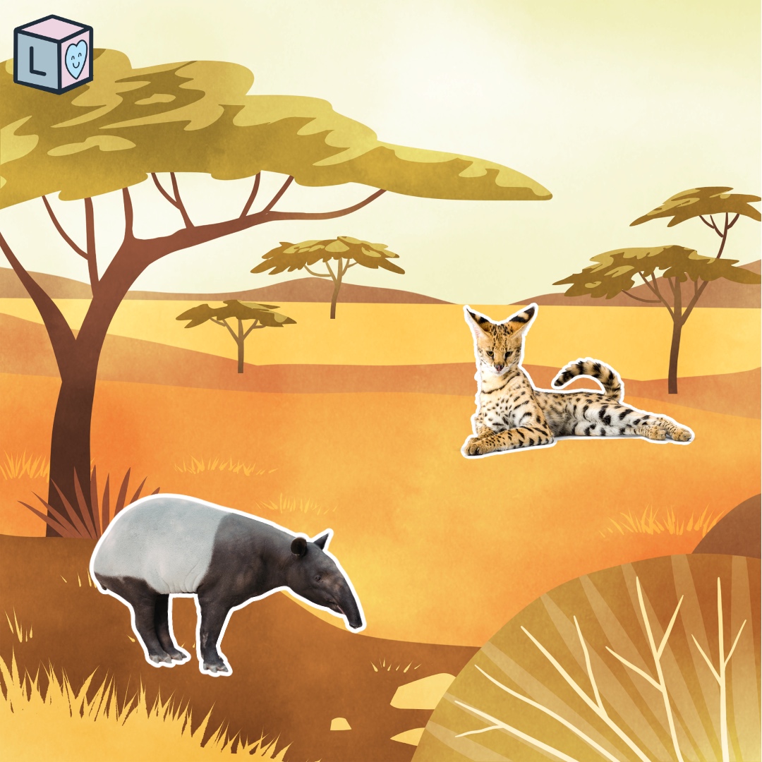 Learning About Novel Animals
