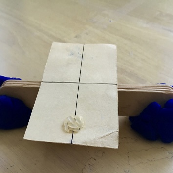 Learning About Physics with Real and Imagined Experiments
