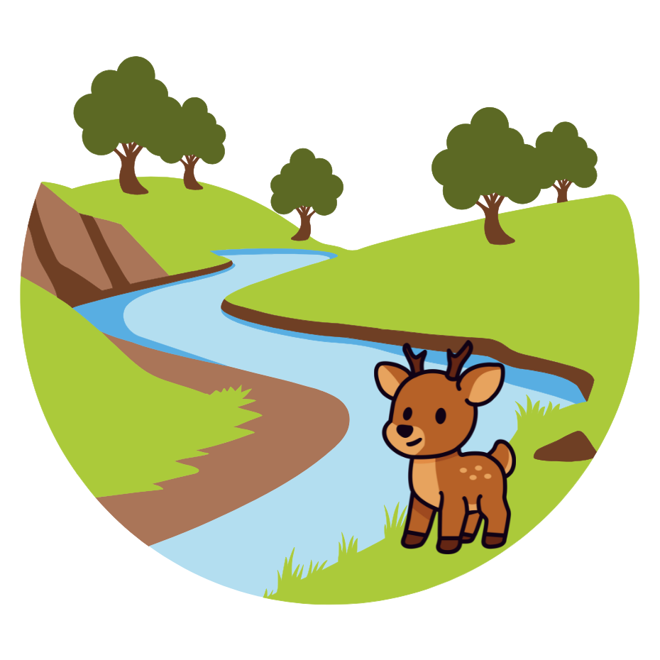 Where’d the Water Go?