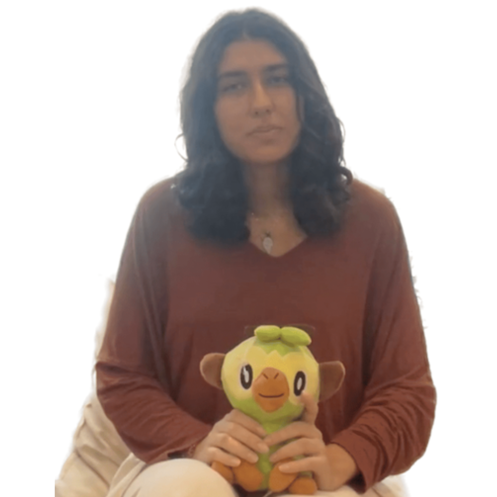 Who Should Get the Toy?