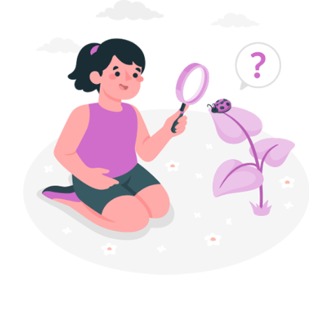 Science Learning & Curiosity