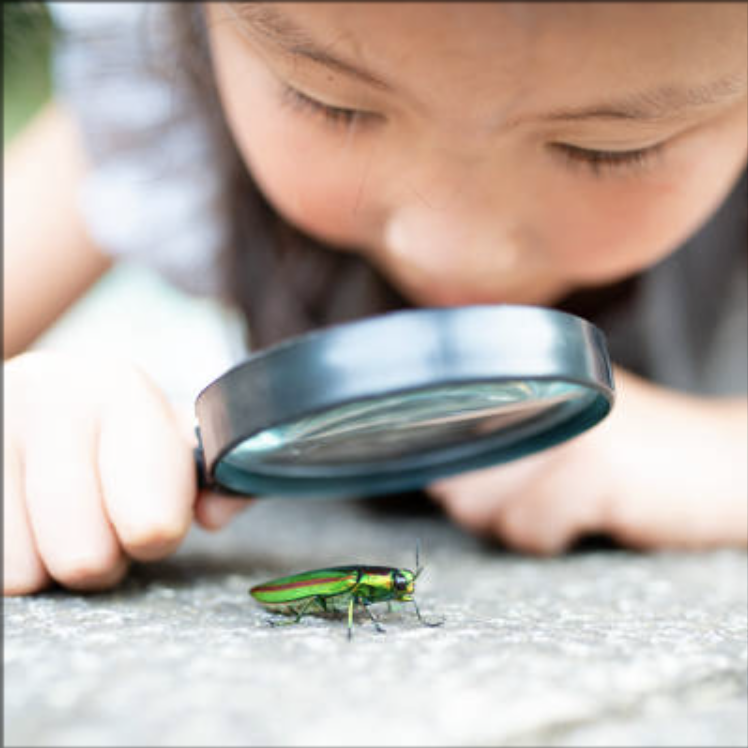 What makes you excited to learn?