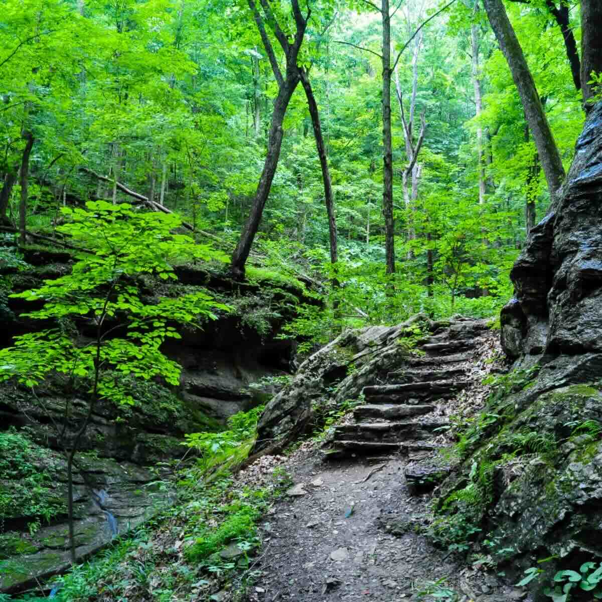 How do families talk about nature?