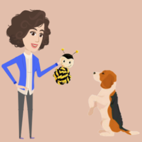 Toy Showing Study for Adult Dogs