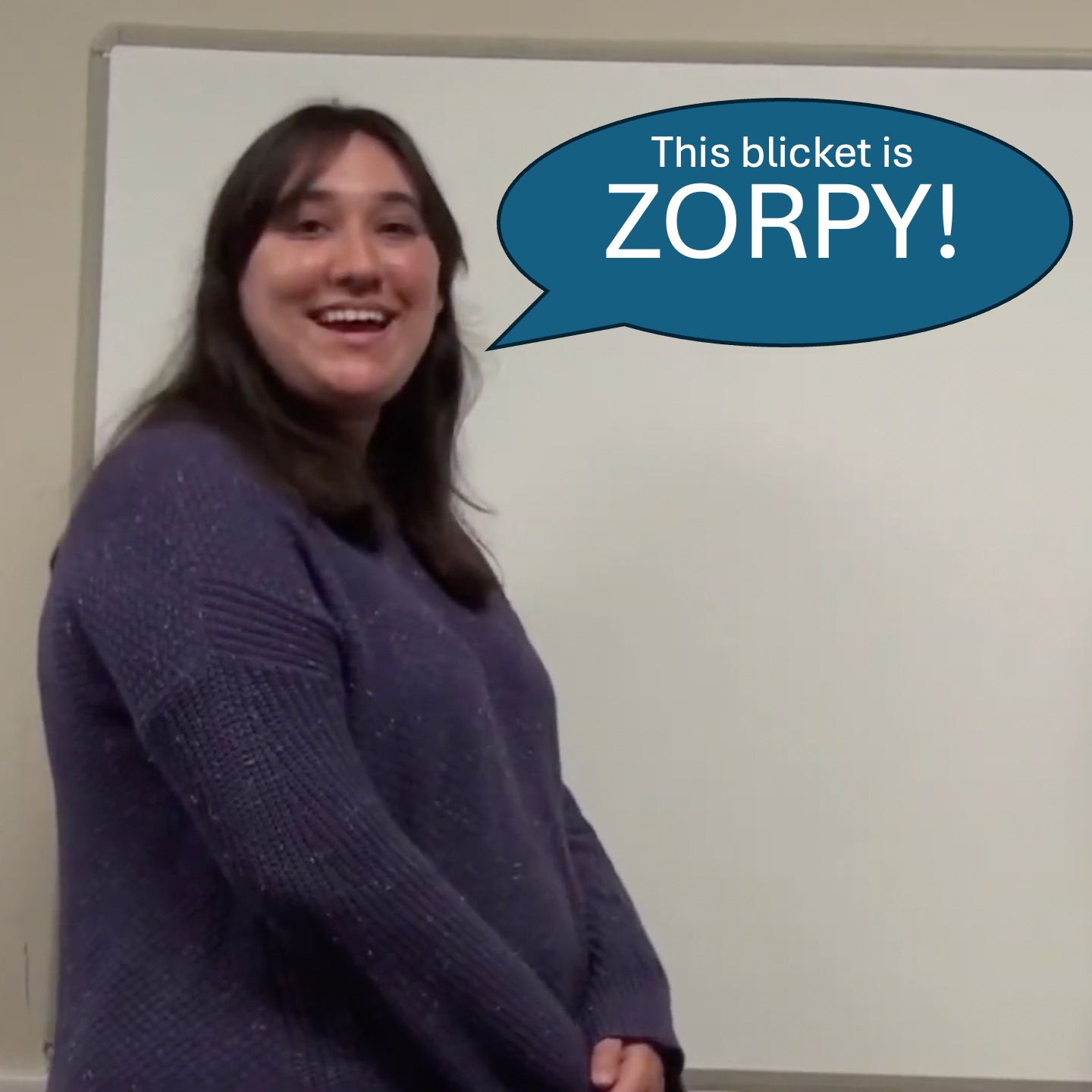 Is this blicket ZORPY?